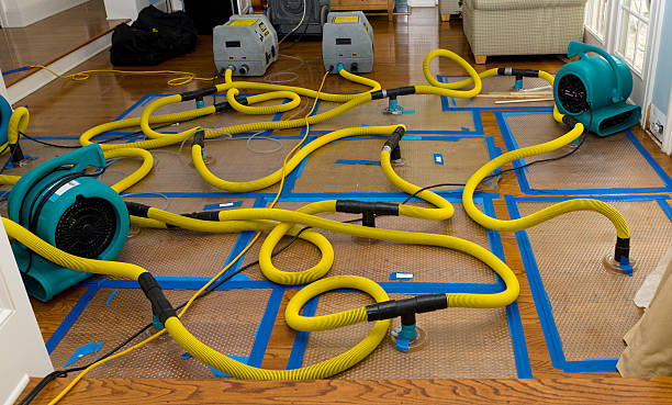 Professional Burst Pipe Water Damage technician working in Cambridge, IL